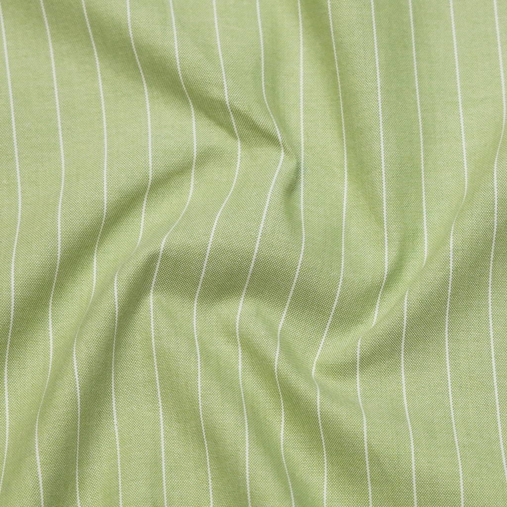 Mint Green & Pistachio Oxford Pack of 2 Pinstripe Shirts