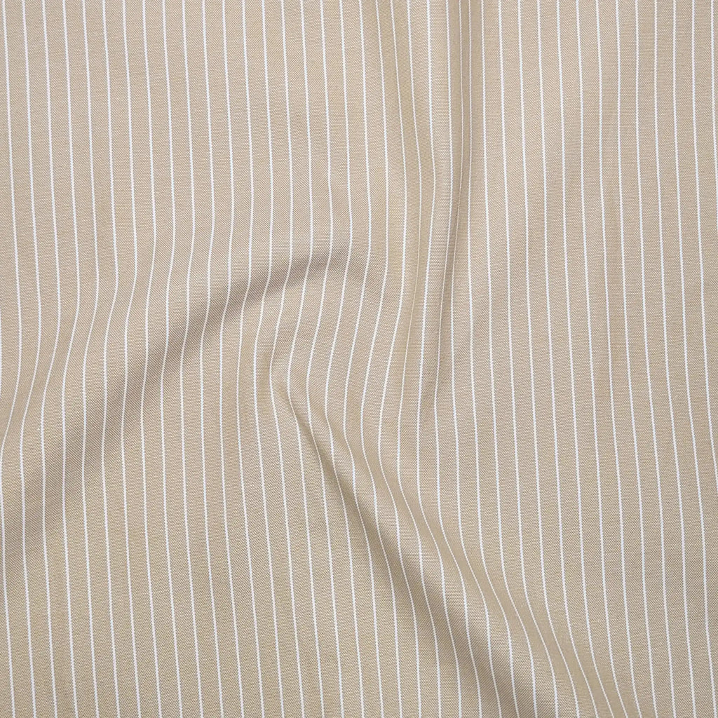 Beige & Charcoal Black Oxford Pack of 2 Pinstripe Shirts