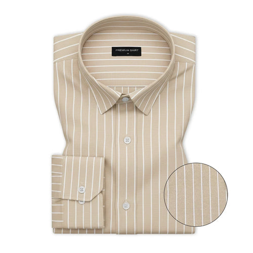 Beige & Charcoal Black Oxford Pack of 2 Pinstripe Shirts